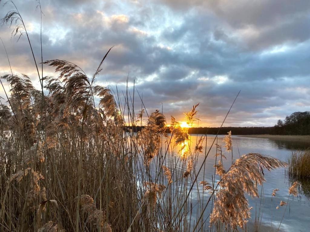 Ferienhaus Direkt Am See Uckermark Templin Zewnętrze zdjęcie